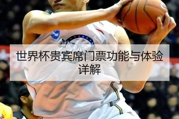 世界杯贵宾席门票功能与体验详解