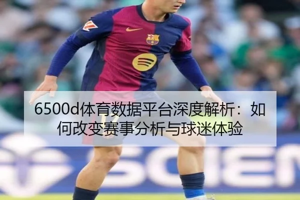 6500d体育数据平台深度解析：如何改变赛事分析与球迷体验