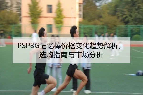 PSP8G记忆棒价格变化趋势解析，选购指南与市场分析