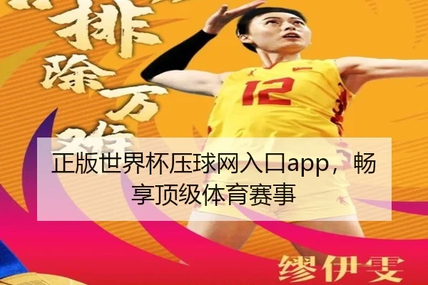 正版世界杯压球网入口app，畅享顶级体育赛事